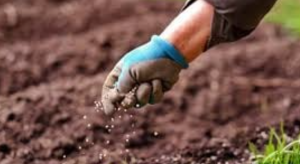 Où Acheter des Pépinières pour Cultures au Sénégal