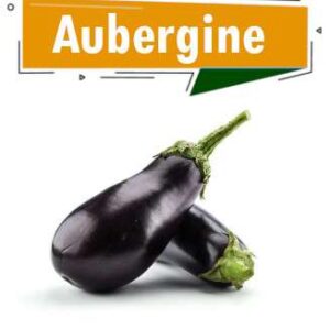 AUBERGINE