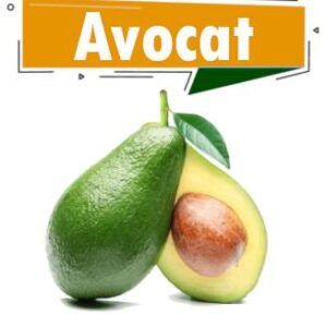 AVOCAT BEURRE
