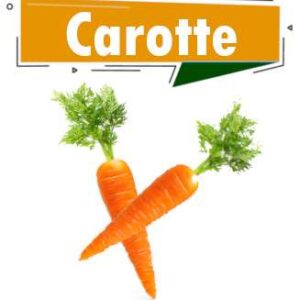 CAROTTE
