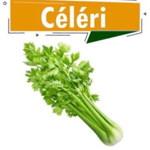 CELERI