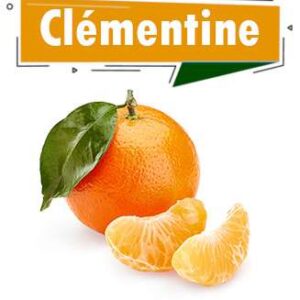 CLEMENTINE DU MAROC