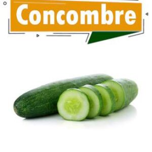 CONCOMBRE FRAIS