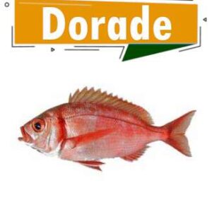 DORADE