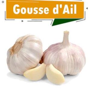 AIL FRAIS NON DECORTIQUE