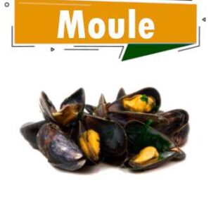 MOULES