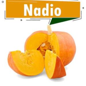 NADIO (COURGE)