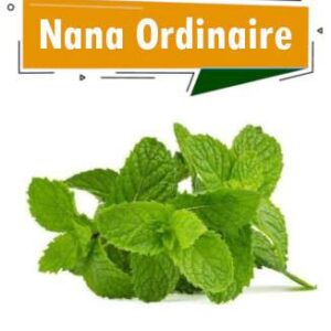 NANA ORDINAIRE