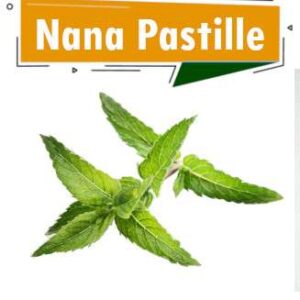 NANA PASTILLE