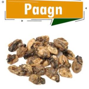 PAAGN