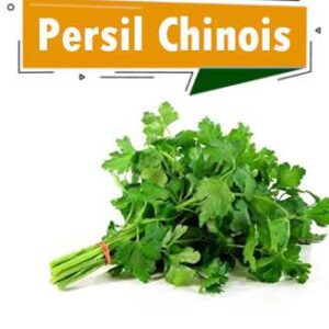 PERSIL CHINOIS