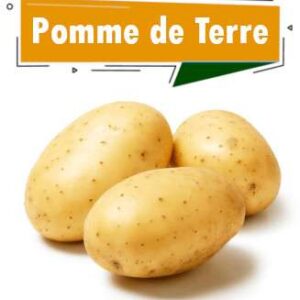 POMME DE TERRE