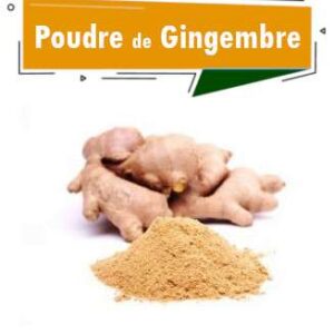 GINGEMBRE EN POUDRE