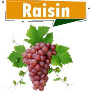 RAISIN