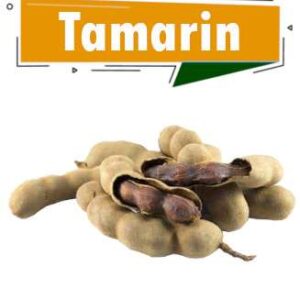 TAMARIN