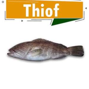 THIOF AU FOUR