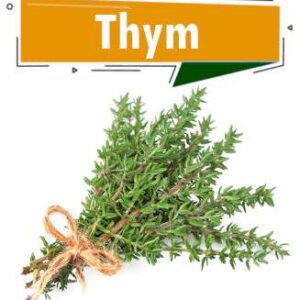 THYM