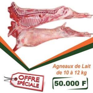 AGNEAU DE LAIT ENTIER DE 10 A 12 KG