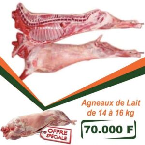 AGNEAU ENTIER DE 14 A 16 KG