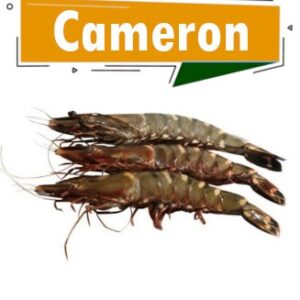 cameron crevettes