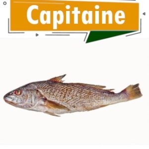 Capitaine