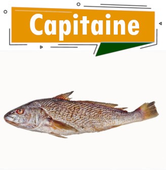 Capitaine