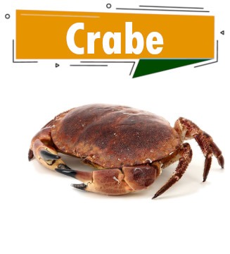 crabe frais
