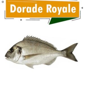 dorade royale