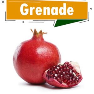 grenade dakar