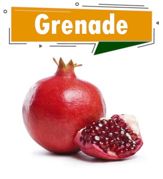 grenade dakar