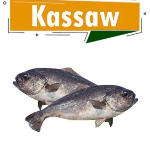 Kassaw