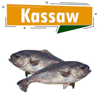 Kassaw