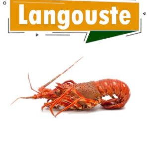 langouste