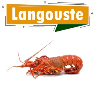 langouste