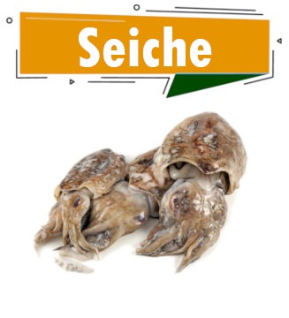 Seiche à Dakar